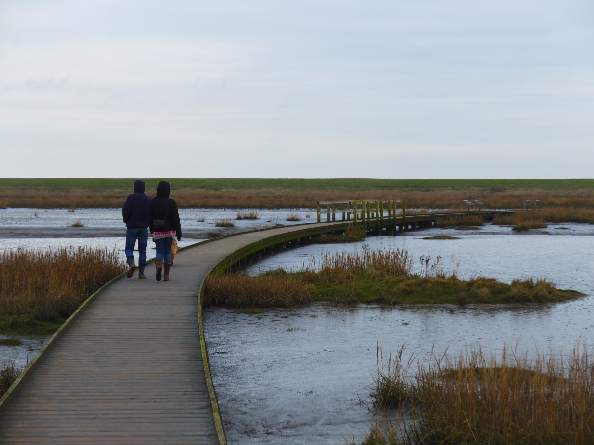 Naturerlebnispfad Langwarder Groden