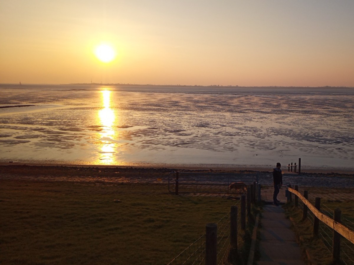 Frühlingserwachen 2024